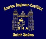 broderie-ecusson-ecurie-dagicour-equitation