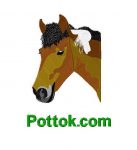 broderie-textile-vimeu-equitation-pottok