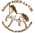 broderie-vimeu-textile-galop-cheval