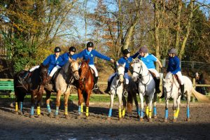 realisation-broderie-club-equestre