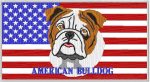 broderie-american-bulldog