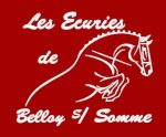 broderies-logo-club-ecurie-equitation